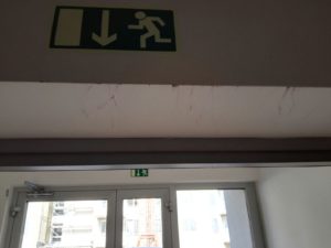 IMG_5452